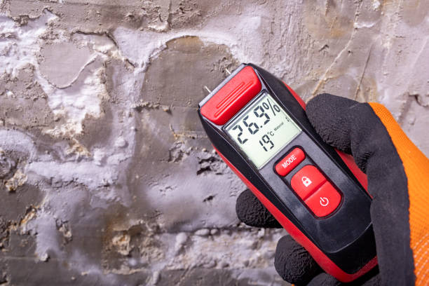 Best Mold Damage Repair  in North Richmond, CA