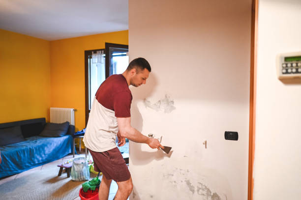Best Fast Mold Removal  in North Richmond, CA